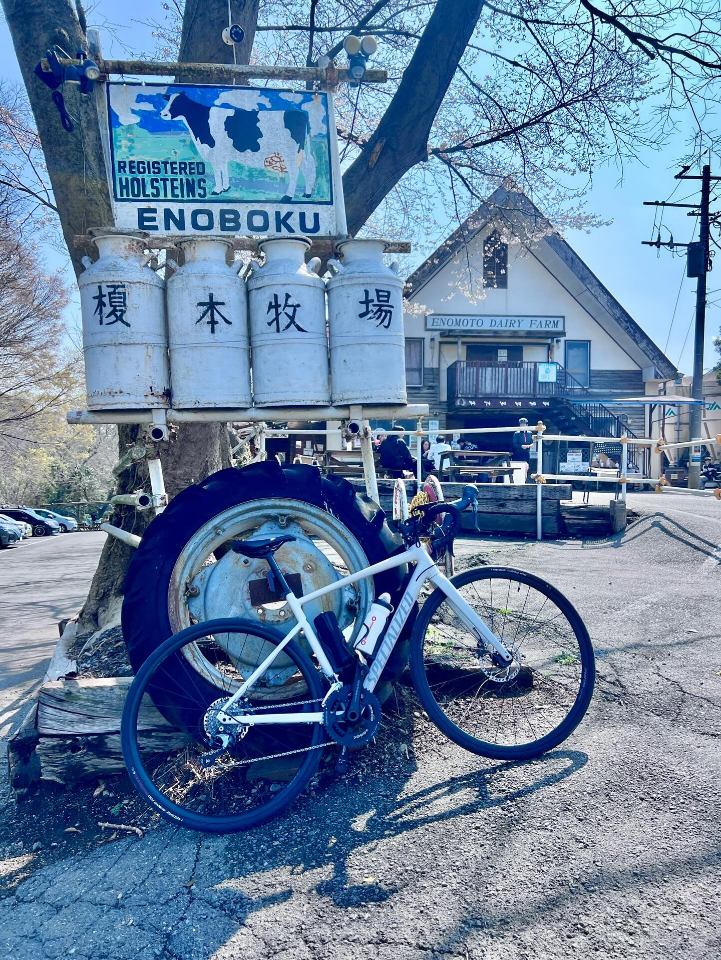 【40代女子のロードバイク日記 28】