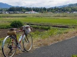 ロードバイクでポタリングしませんか? 「速く走る」だけがロードバイクではありません。